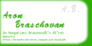 aron braschovan business card